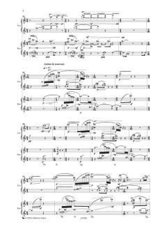 Oiseaux gris von Tobias Feierabend 