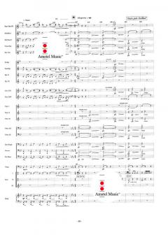 Polish Christmas Music von Johan de Meij 