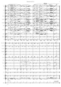 Slawischer Tanz Nr. 2 von Antonín Dvořák (Download) 