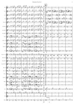 Slawischer Tanz Nr. 2 von Antonín Dvořák (Download) 