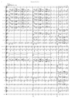 Slawischer Tanz Nr. 2 von Antonín Dvořák 