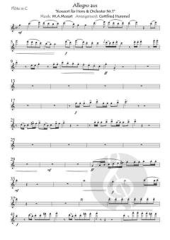 Dona Nobis Pacem - Gib uns Frieden 