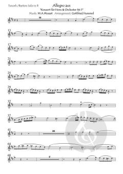 Dona Nobis Pacem - Gib uns Frieden 