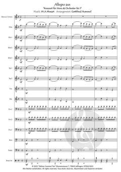 Dona Nobis Pacem - Gib uns Frieden 