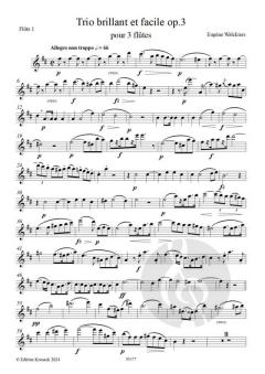 Trio brillant et facile op.3 von Eugène Walckiers 