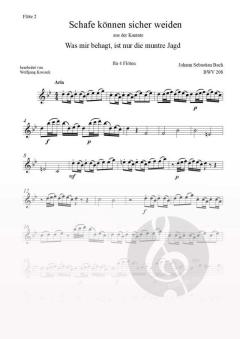 Schafe können sicher weiden von Johann Sebastian Bach 