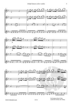 Schafe können sicher weiden von Johann Sebastian Bach 