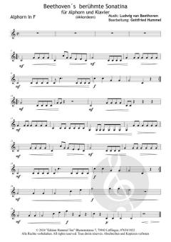 Beethovens berühmte Sonatina von Ludwig van Beethoven 