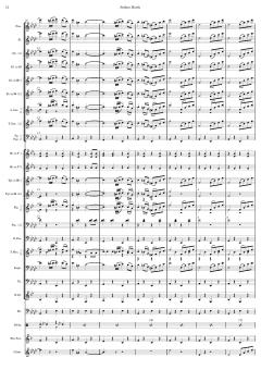 Matrosenmarsch von Franz von Suppé (Download) 