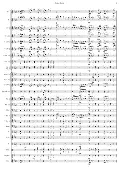 Matrosenmarsch von Franz von Suppé (Download) 