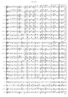 Matrosenmarsch von Franz von Suppé (Download) 