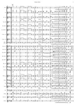 Matrosenmarsch von Franz von Suppé (Download) 