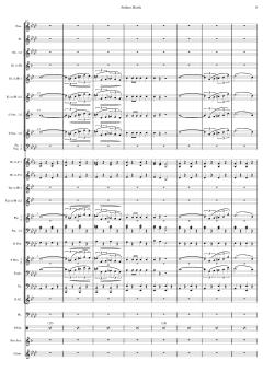 Matrosenmarsch von Franz von Suppé (Download) 