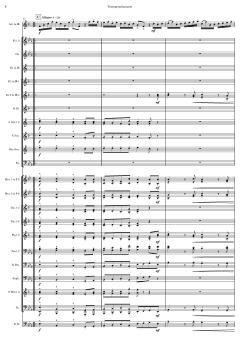 Konzert für Trompete und Blasorchester von Tomaso Albinoni 