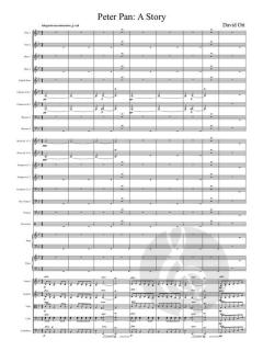 Peter Pan: A Story and Math In Action von David Ott 