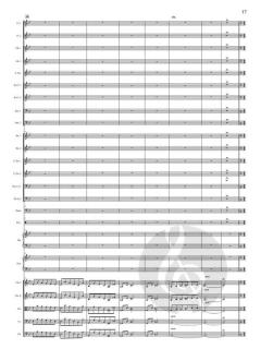 Peter Pan: A Story and Math In Action von David Ott 