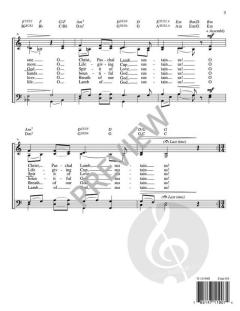 A Fraction Litany von Steven C. Warner 