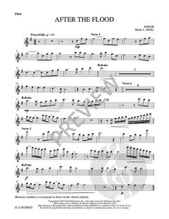 After the Flood von Mark A. Miller 