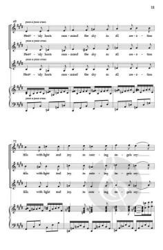 Midnight Song von Steven Aldredge 