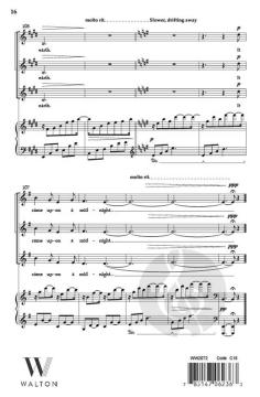 Midnight Song von Steven Aldredge 