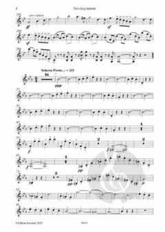 Trio op. 95 g-moll von Eugène Walckiers 