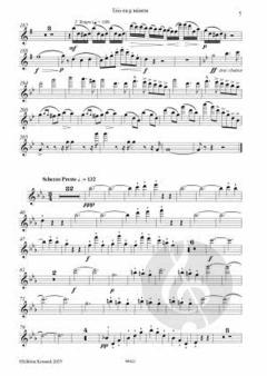 Trio op. 95 g-moll von Eugène Walckiers 