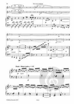 Trio op. 95 g-moll von Eugène Walckiers 