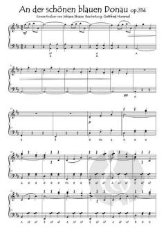 Im Renngalopp durch Wien von Gottfried Hummel 