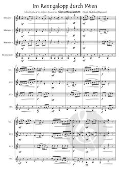 Im Renngalopp durch Wien von Gottfried Hummel 