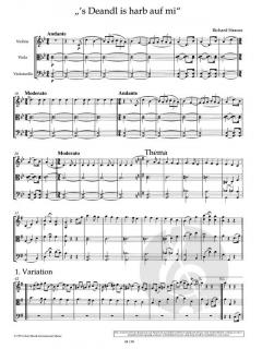 Variationen über 's Deandl is harb auf mi von Richard Strauss 