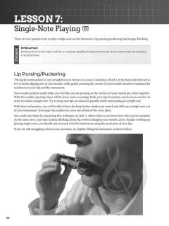 Do-It-Yourself Harmonica 