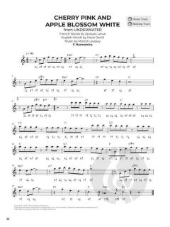 Do-It-Yourself Harmonica 