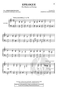 The Solemn Shadows von Joseph M. Martin 