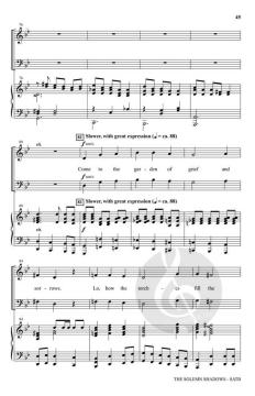 The Solemn Shadows von Joseph M. Martin 