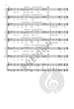 A Spotless Rose von Piers Connor Kennedy 