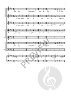 A Spotless Rose von Piers Connor Kennedy 