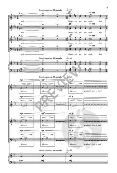 Blessed Are the Peacemakers von Piers Connor Kennedy 