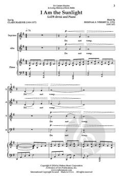 I Am the Sunlight von Reginal Wright 