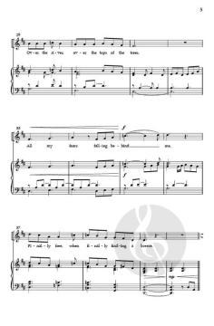 Finding a Breeze von Matt Carlson 