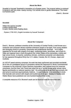 Snowfall von David L. Brunner 