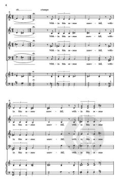 Snowfall von David L. Brunner 