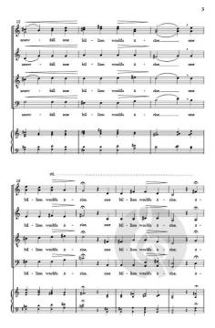 Snowfall von David L. Brunner 