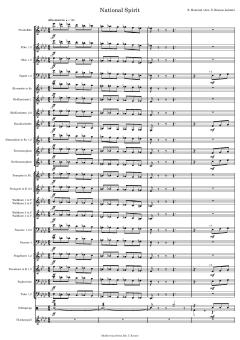 National Spirit von Silas Hummel (Download) 