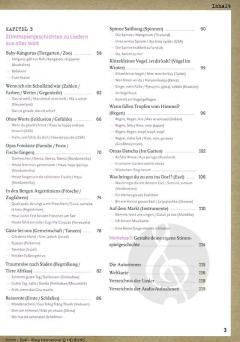 Stimm - Spiel - Klang international von Amelie Erhard 