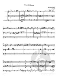 Petite Serenade von Johann Nepomuk Wendt 