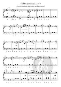 Ein Strauss mit Strauss von Johann Strauss (Sohn) 