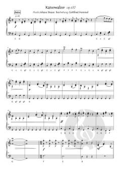 Ein Strauss mit Strauss von Johann Strauss (Sohn) 