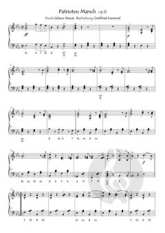 Ein Strauss mit Strauss von Johann Strauss (Sohn) 