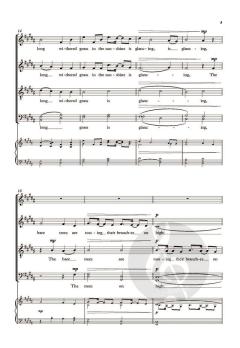 My soul is awakened von Tristino Ali (Download) 