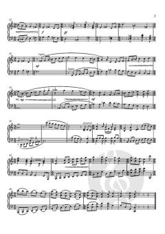 Penta Metrics: Five pieces for solo piano von Libby Larsen (Download) 